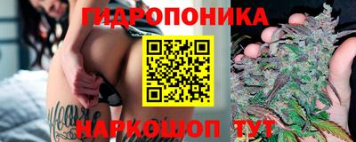 МДПВ Рыбинск