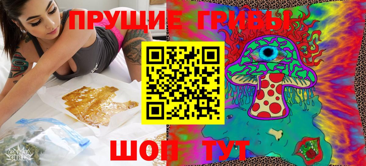 Галлюциногенные грибы Psilocybe  Вход с VPN  где можно купить наркотик  Ртищево 